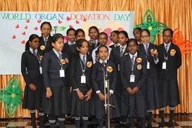World Organ Donation Day